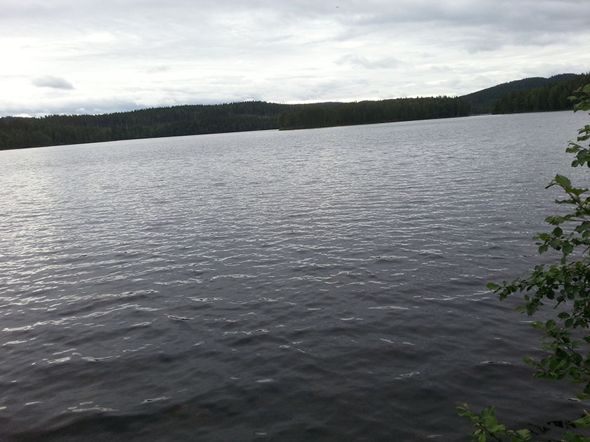 neseskyll-innsjo-02-oyungen-20210622_185541